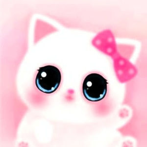 Meet your Posher, Sherry